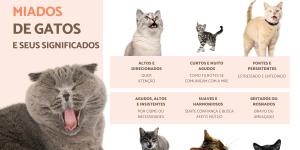 Tipos de miado de gato
