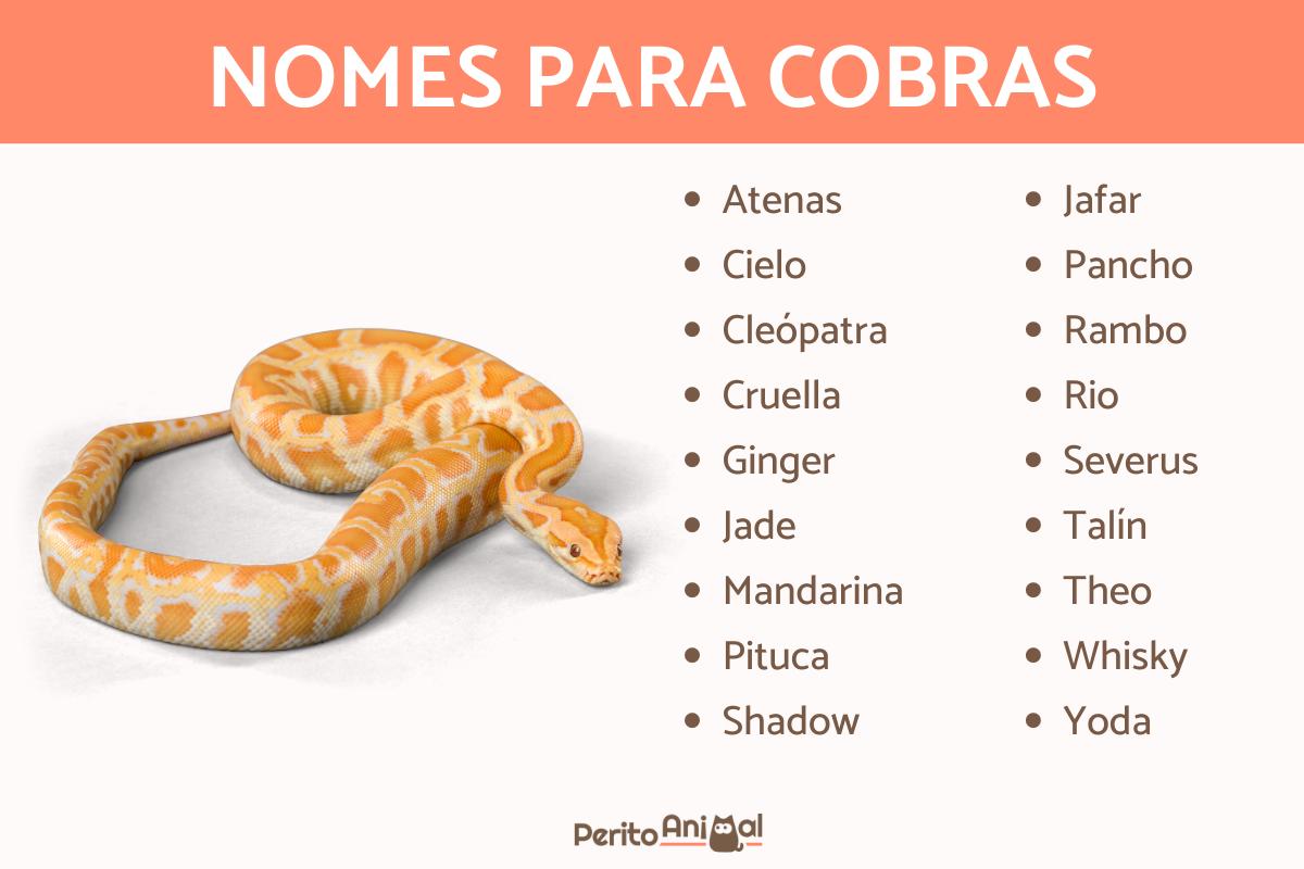Nomes para cobras