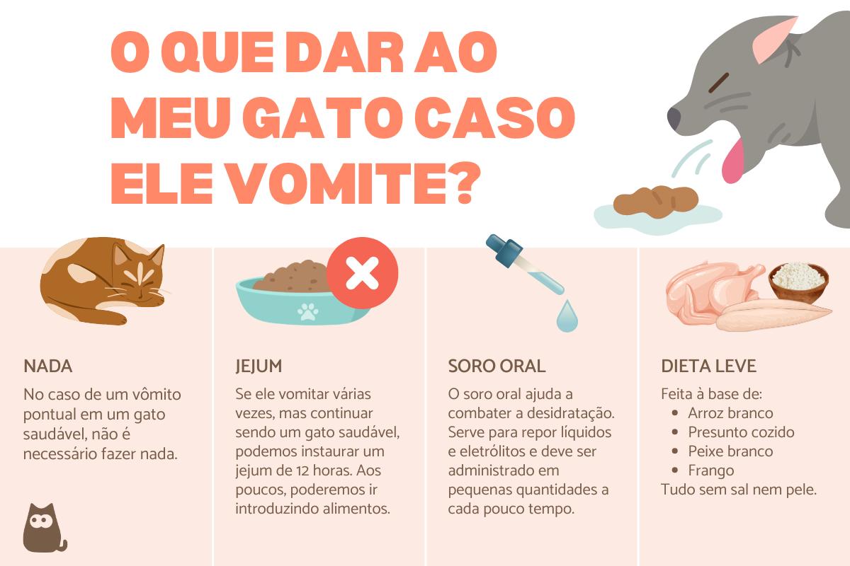 O que dar para um gato comer quando está vomitando?