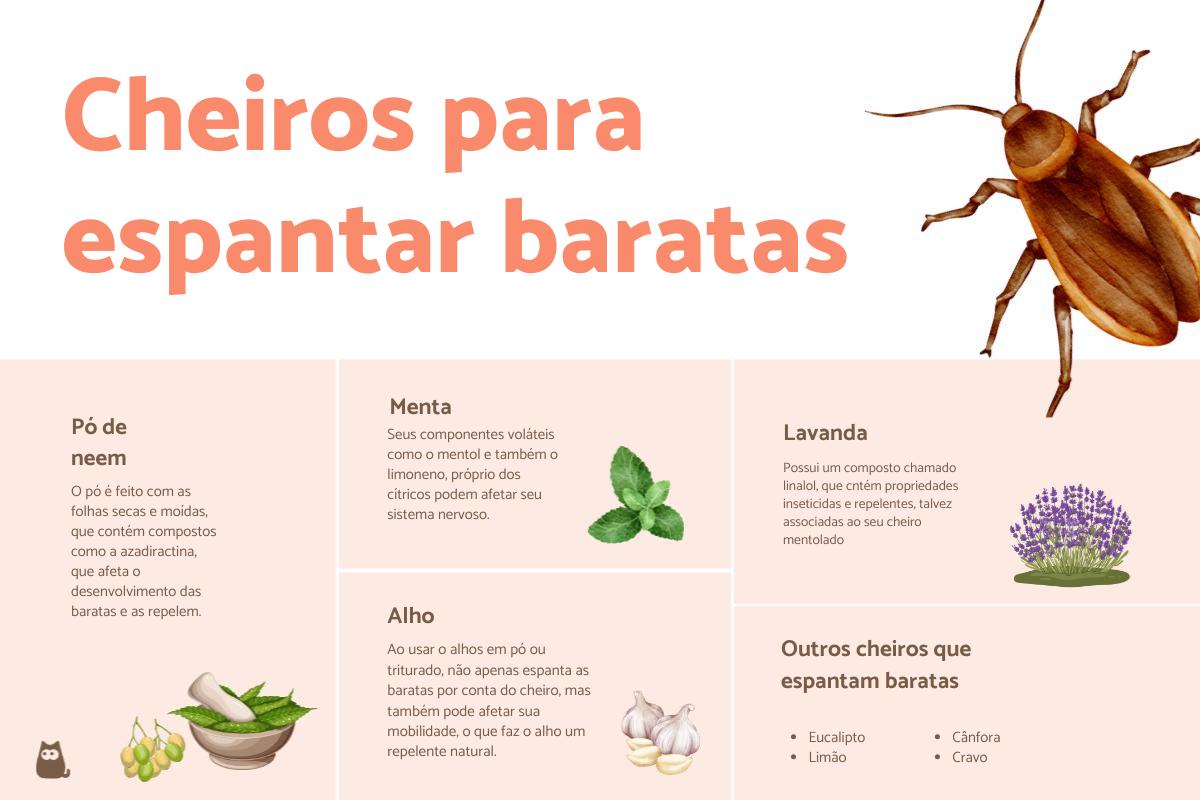 Cheiros que as baratas odeiam