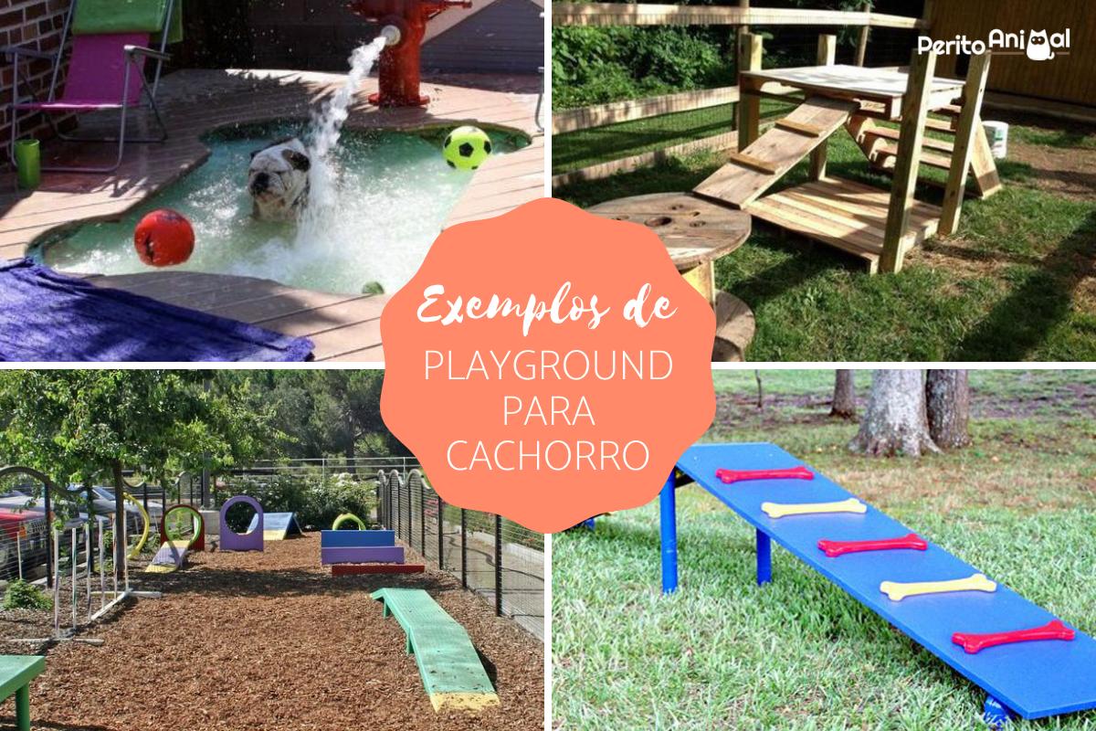 Playground para cachorro - exemplos e cuidados