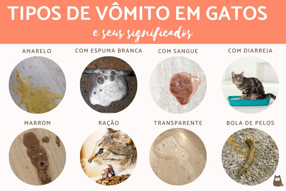 Tipos de vômitos de gatos