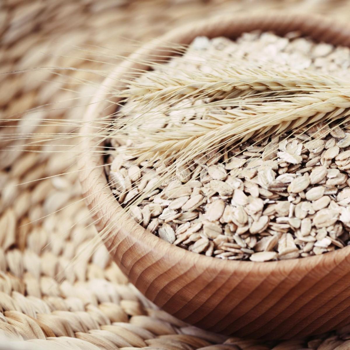 Benefícios da aveia para cachorros