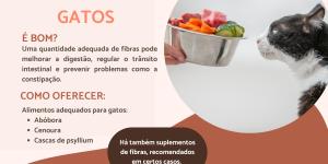 Fibra para gatos: alimentos e importância