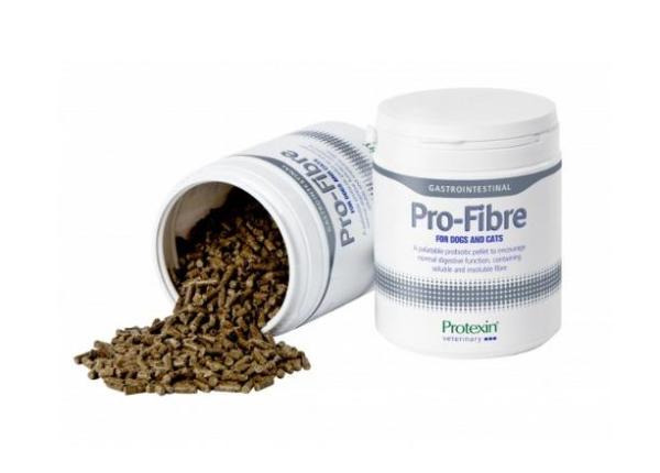 Fibra para gatos: alimentos e importância - Suplementos de fibras para gatos: quando são necessários?