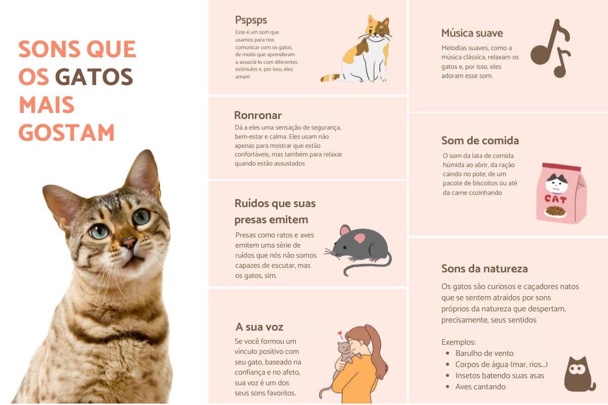 Sons que os gatos gostam