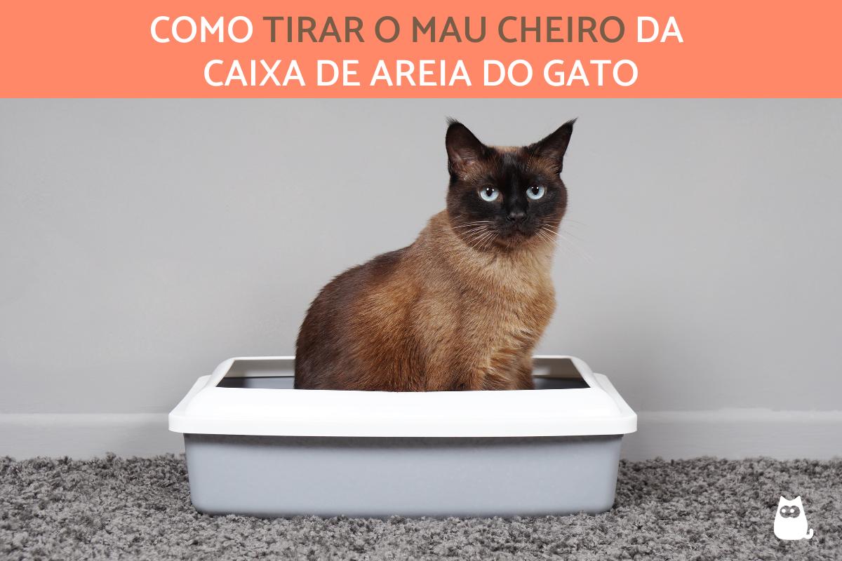 Truques para o mau cheiro da areia do gato