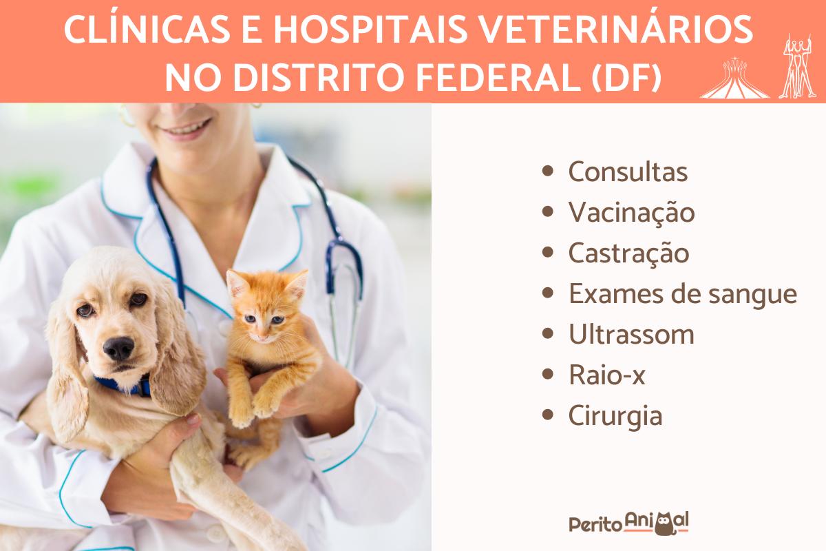 Clínicas e hospitais veterinários em Brasília
