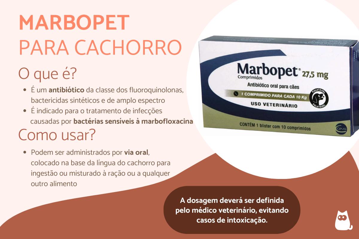 Marbopet para cães: para que serve, doses e efeitos colaterais