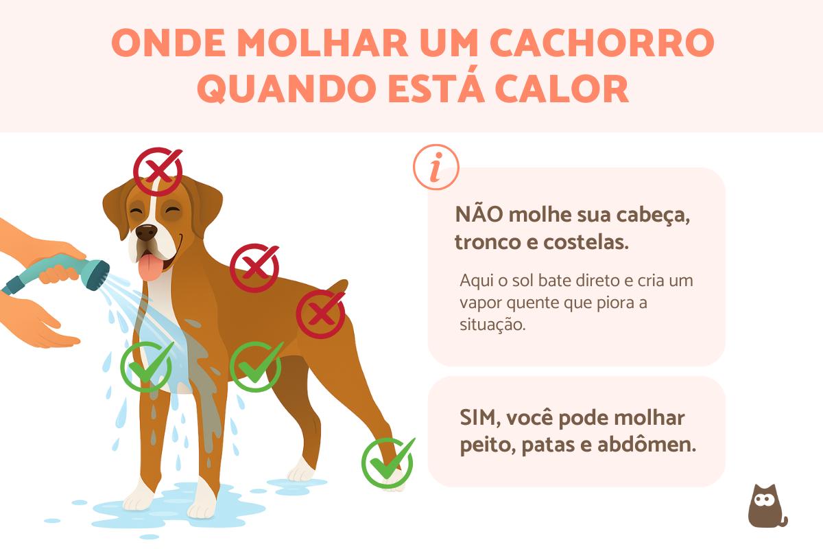 Como refrescar o cachorro?