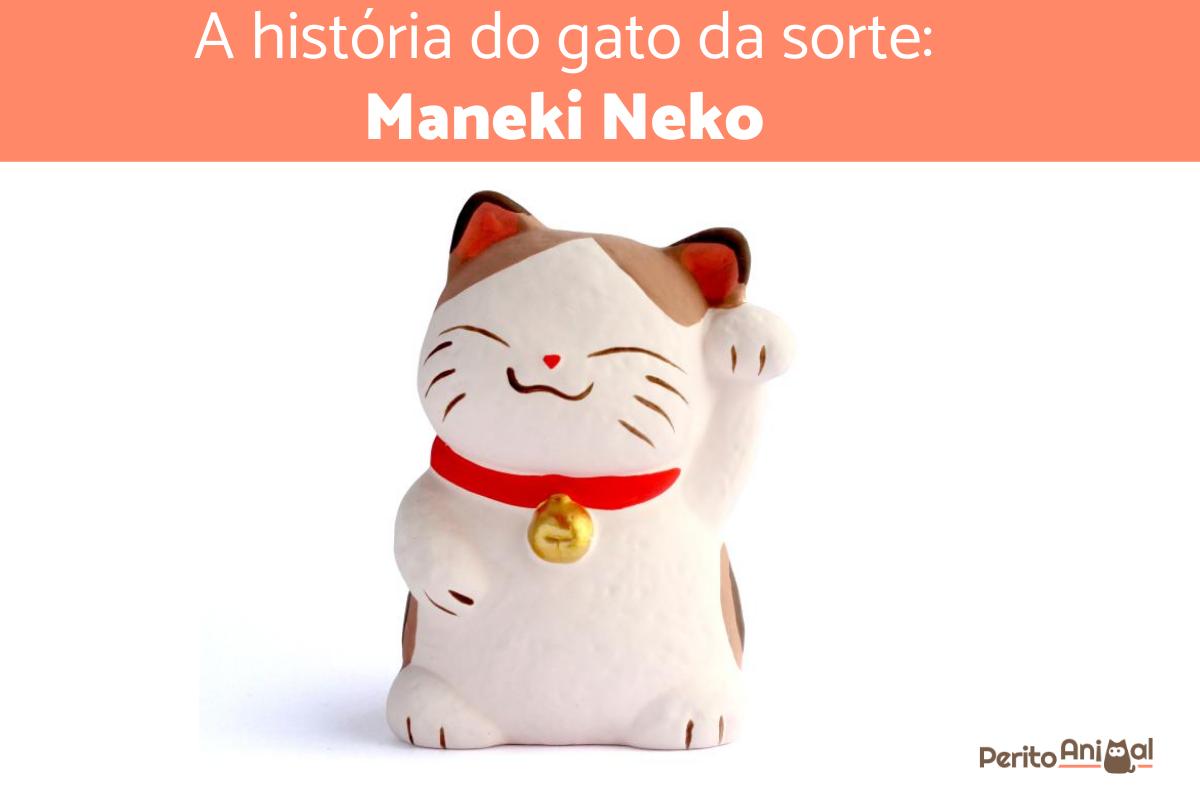 A história do gato da sorte: Maneki Neko