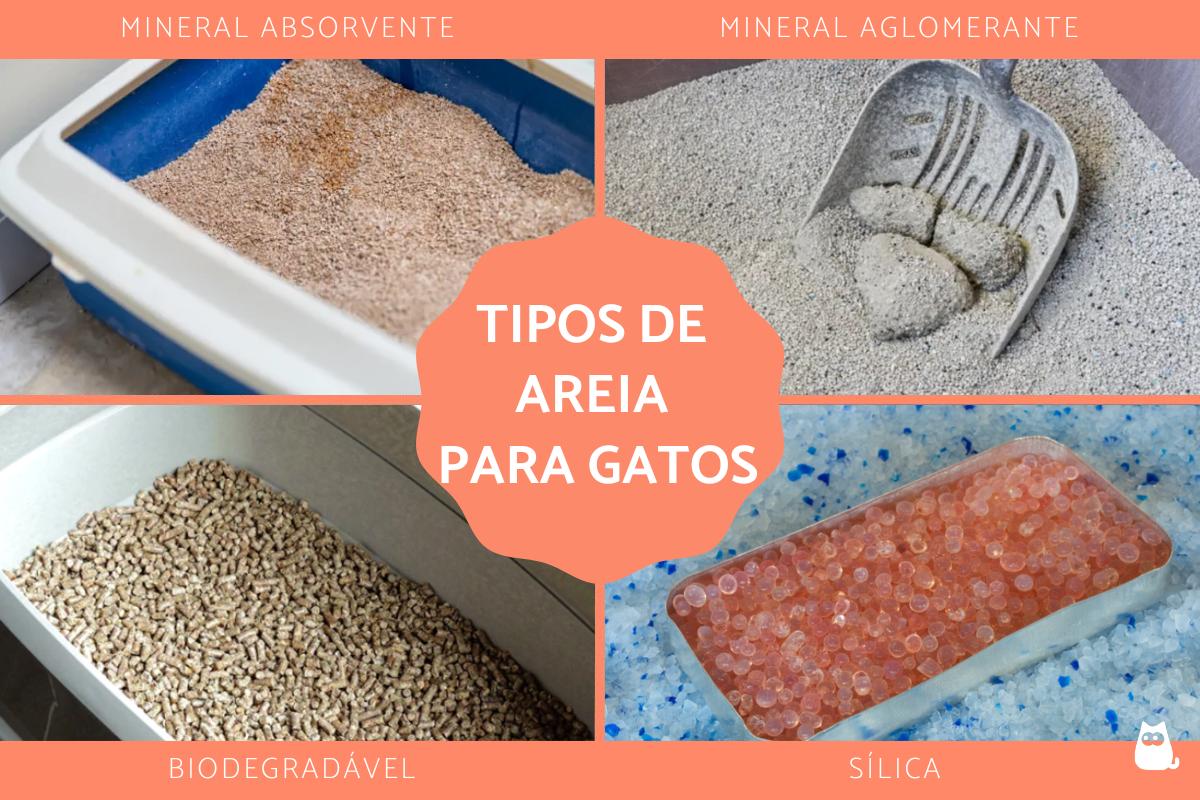 Tipos de areia para gatos