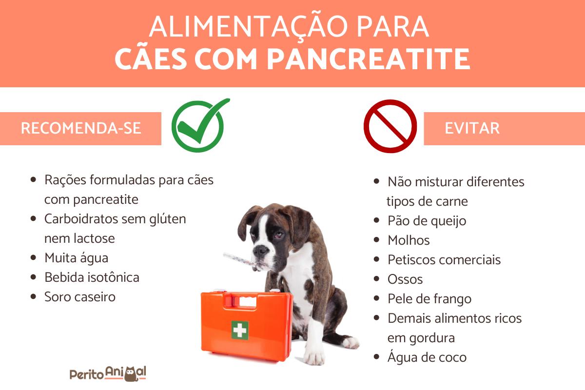 Como alimentar um cão com pancreatite?
