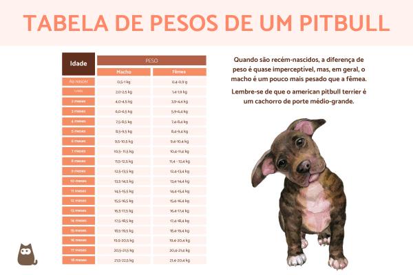 Quanto pesa um pitbull? - Quanto pesa um filhote de pitbull?