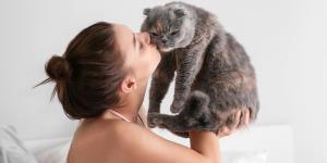 Gato esquece o dono em quanto tempo?