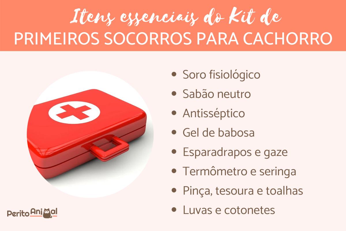 Kit de primeiros socorros para cachorro