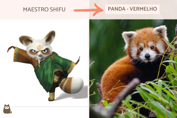 Quais são os animais de Kung Fu Panda? - Maestro Shifu: panda-vermelho