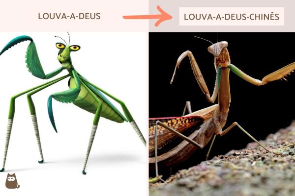 Quais são os animais de Kung Fu Panda? - Mestre Louva-a-Deus: louva-a-deus-chinês