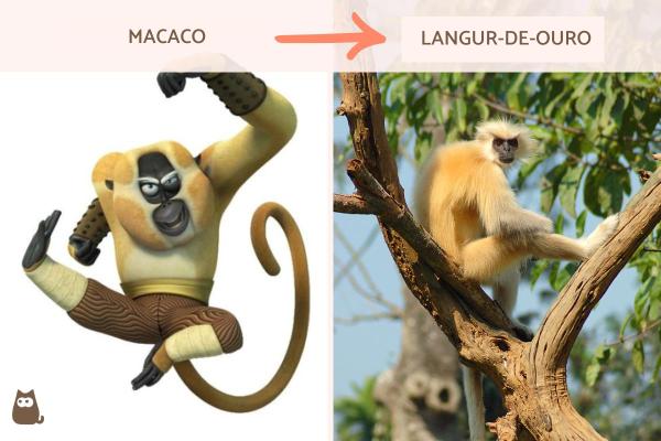 Quais são os animais de Kung Fu Panda? - Mestre Macaco: langur-de-ouro