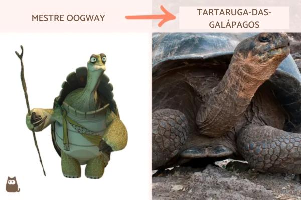 Quais são os animais de Kung Fu Panda? - Mestre Oogway: tartaruga-das-galápagos