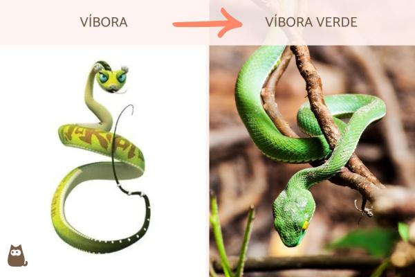 Quais são os animais de Kung Fu Panda? - Mestre Víbora: víbora verde ou asiática