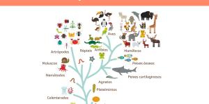 Origem e evolução dos animais