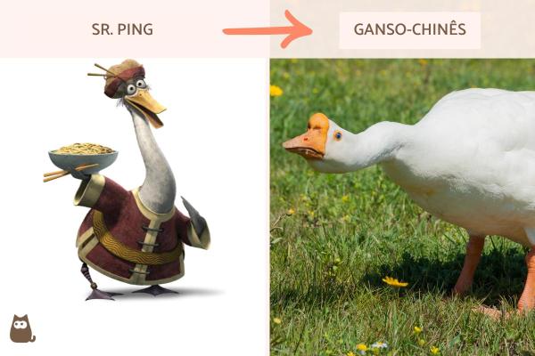 Quais são os animais de Kung Fu Panda? - Sr. Ping: ganso-chinês
