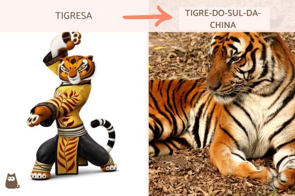 Quais são os animais de Kung Fu Panda? - Tigresa: tigre-do-sul-da-china