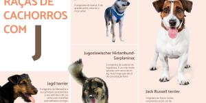 Raças de cães que começam com a letra J