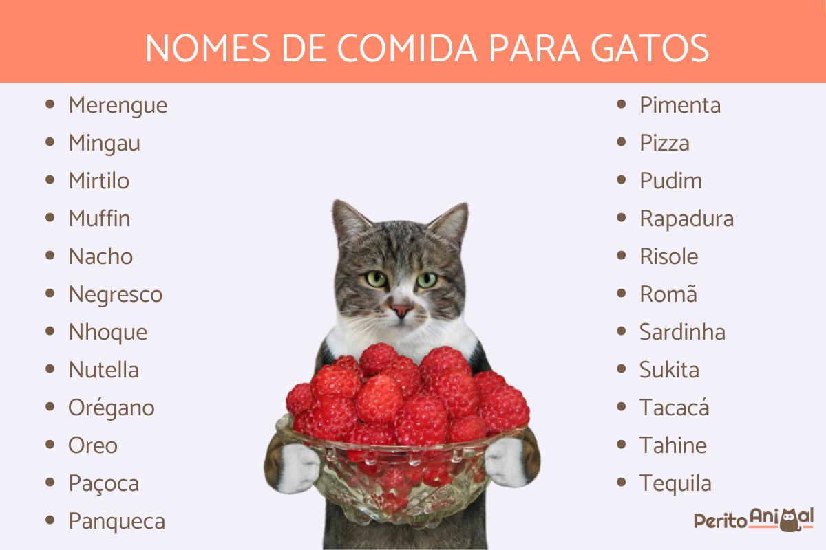 Nomes de comida para gatos