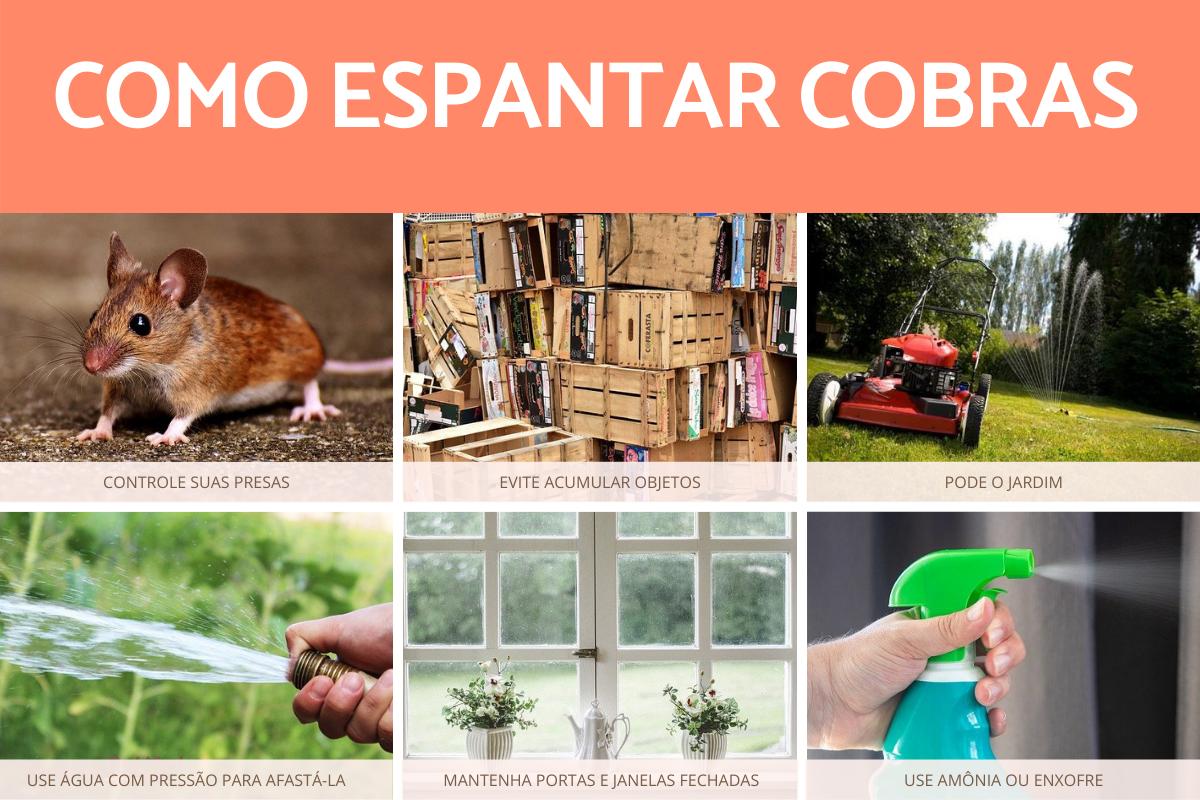 Como espantar cobras?