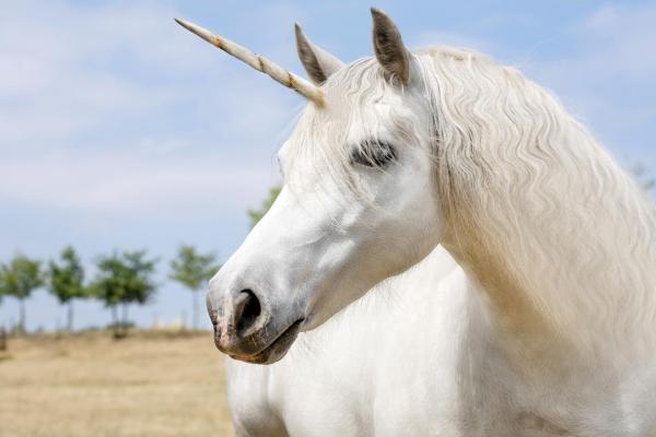 Unicórnio existe ou já existiu?