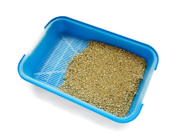 Cuidar de um gato em 10 passos - 7. A caixa de areia