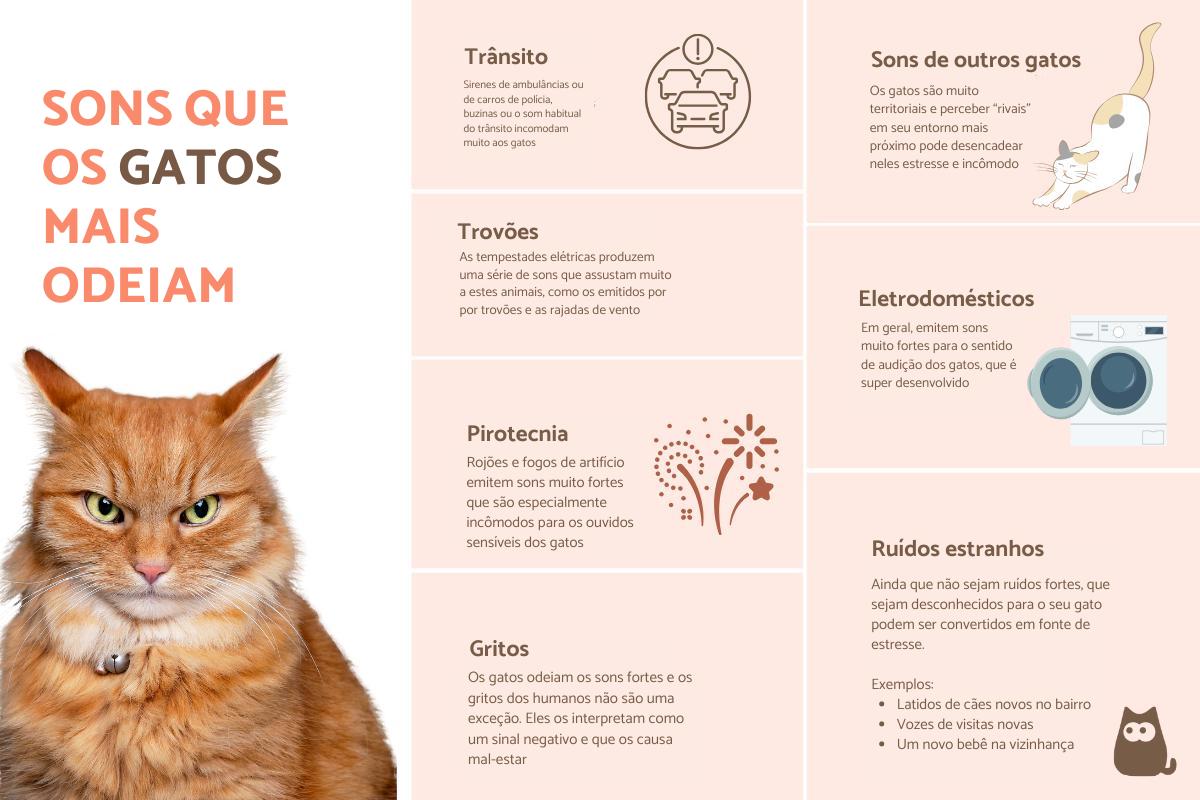 Sons que incomodam os gatos