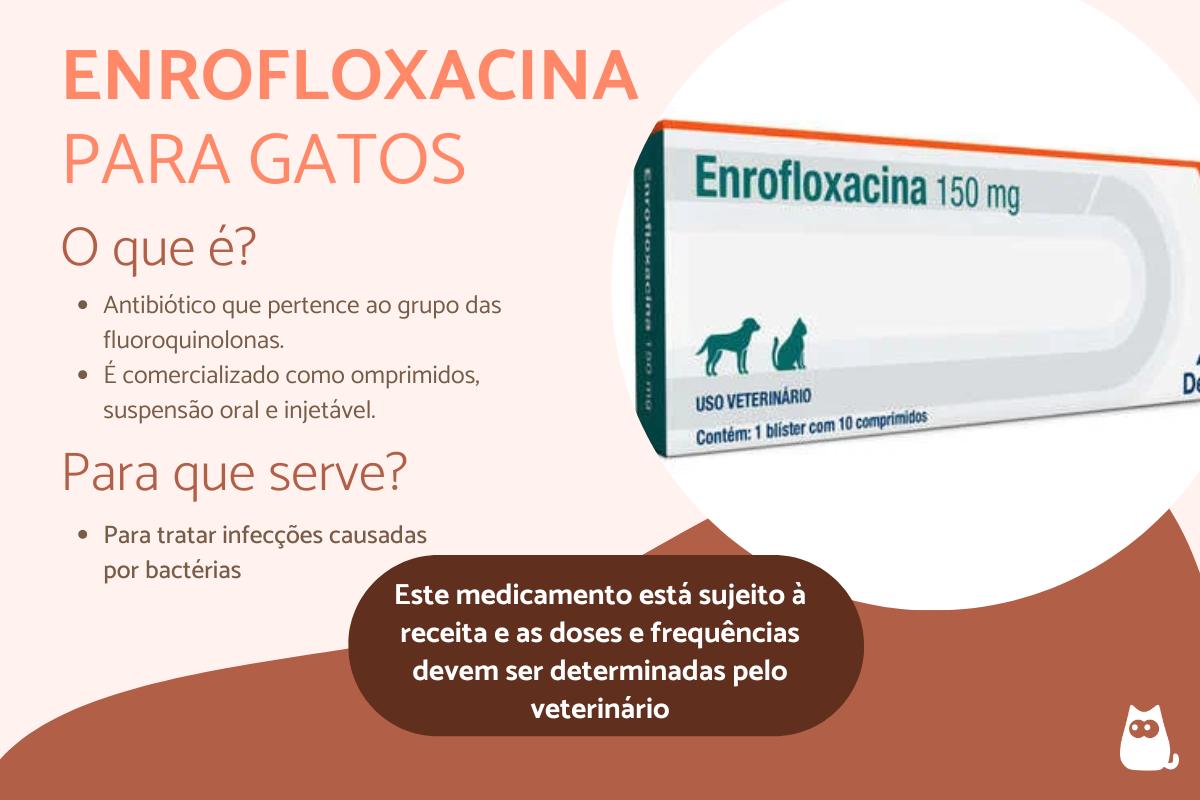 Enrofloxacina para gatos – Dosagem, usos e efeitos colaterais