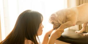 Como ser pet sitter?