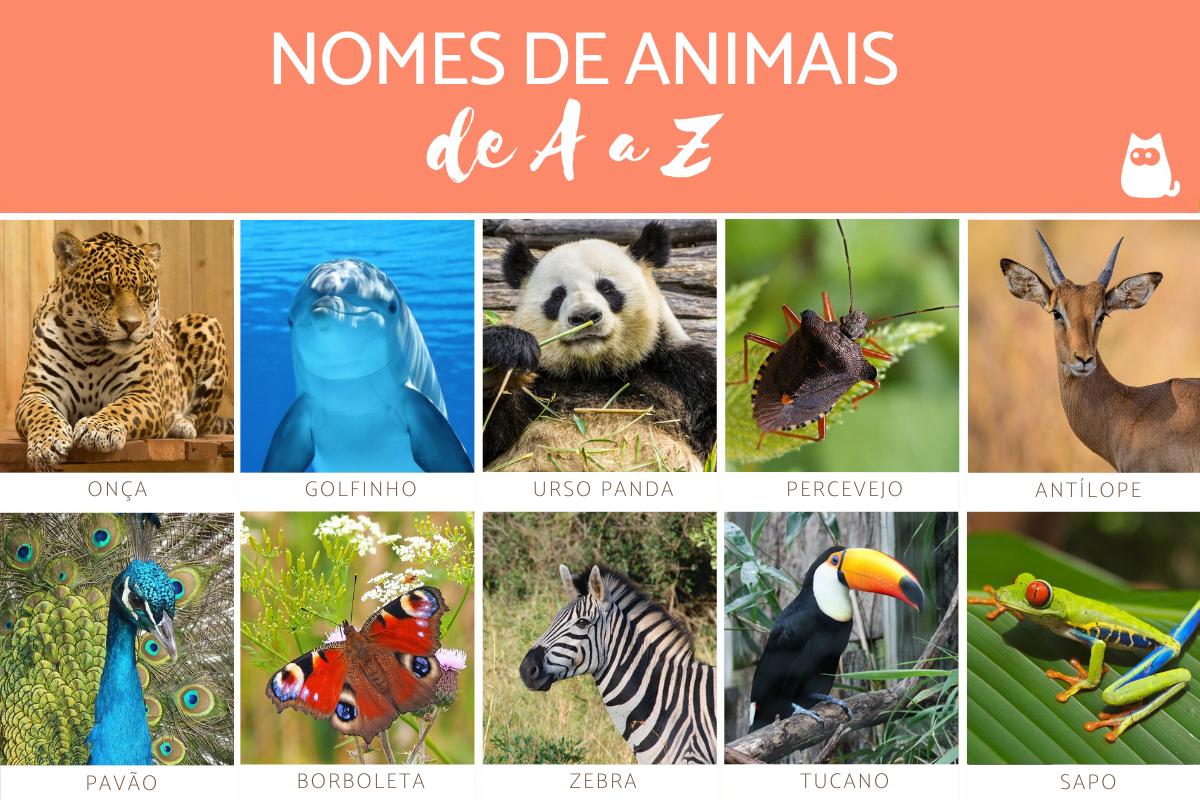  300 NOMES De ANIMAIS De A A Z