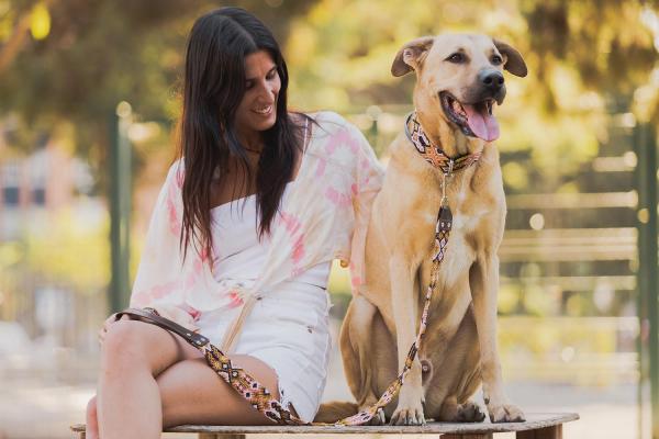 Como viajar com cachorro? - O que levar em consideração antes de viajar com um cachorro?