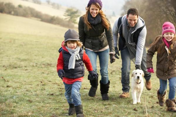 Dicas para escolher seu animal de estimação - Ter tempo suficiente