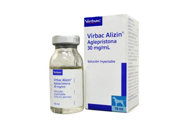 Existe pílula do dia seguinte para cachorro? - Existe pílula do dia seguinte para cadelas?