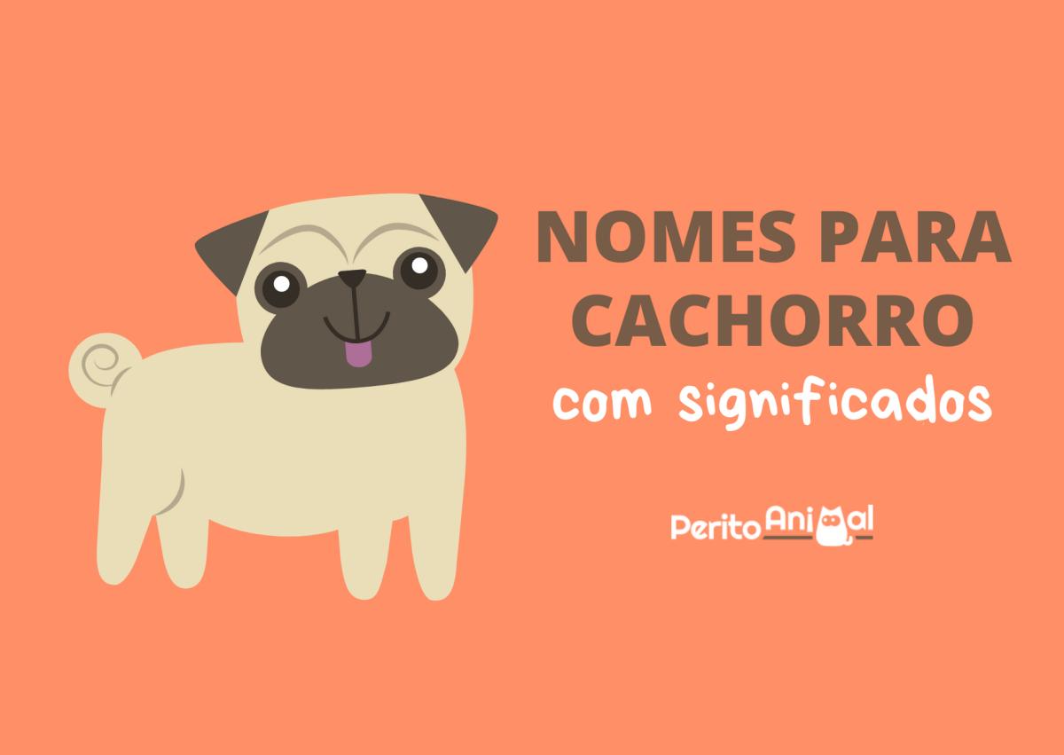 Nomes para cachorro e significado
