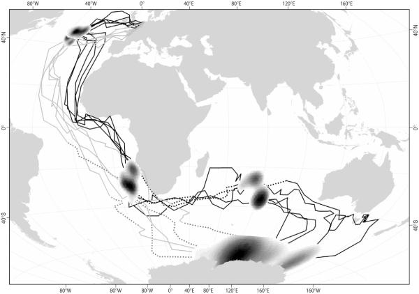 Aves migratórias: características e exemplos - Aves migratórias com migrações mais longas