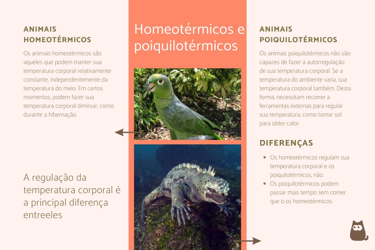 Animais homeotérmicos e poiquilotérmicos