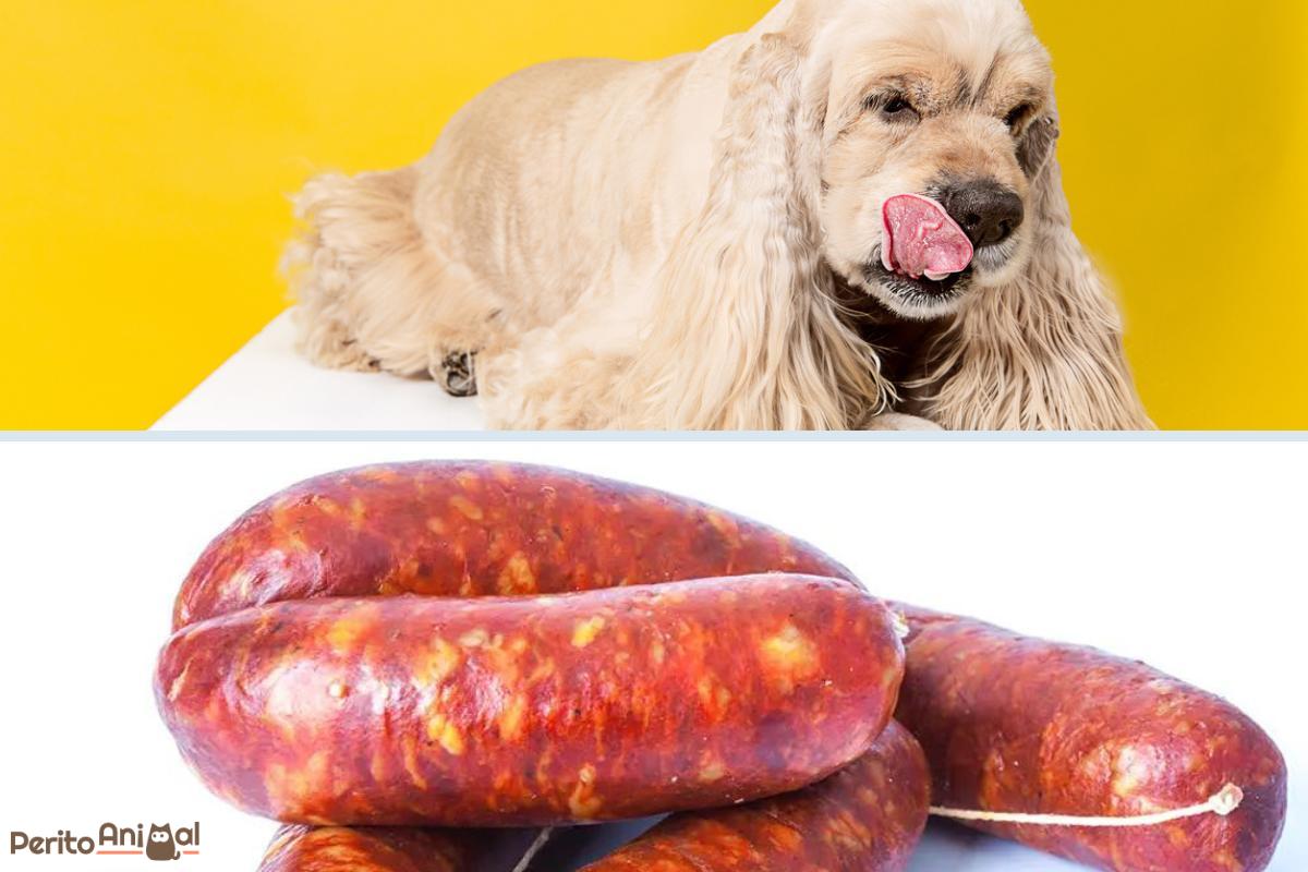 Cachorro pode comer linguiça?