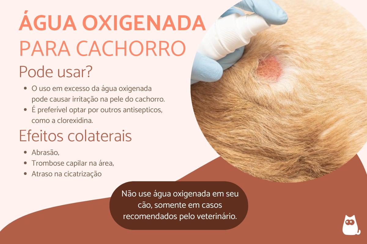 Água oxigenada para cachorro: usos e contraindicações