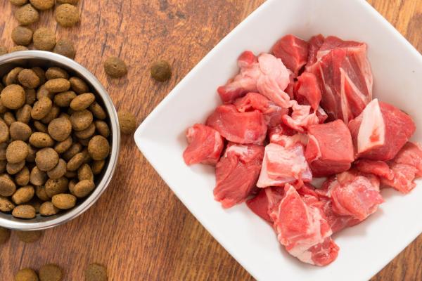 Carne crua para cachorro faz mal? - Carne crua ou cozida para cachorros?
