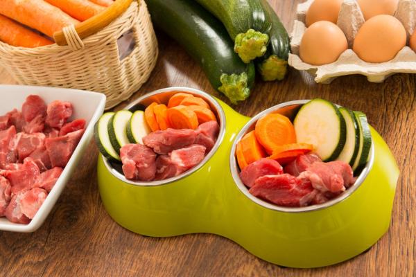 Carne crua para cachorro faz mal? - Como dar carne crua ao cachorro?