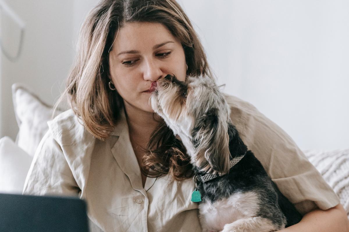 Doenças transmitidas por saliva de cachorro
