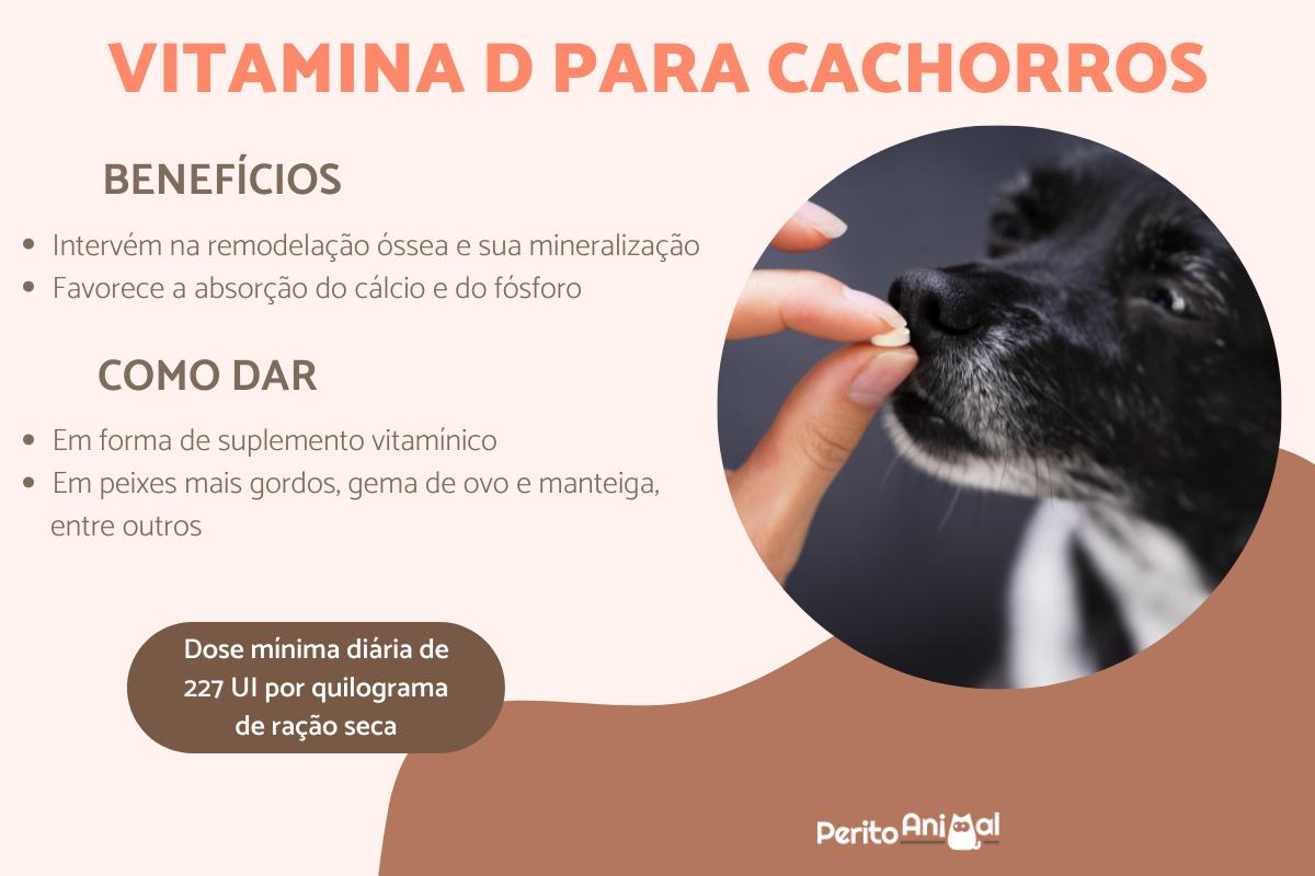 Vitamina D para cachorros - Dosagem e como dar