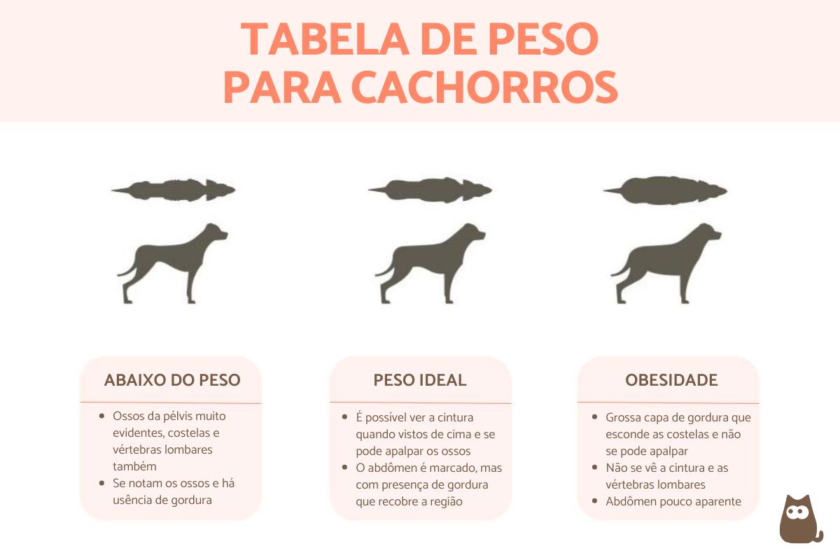 Cachorro obeso e com sobrepeso - Sintomas, consequências e tratamentos